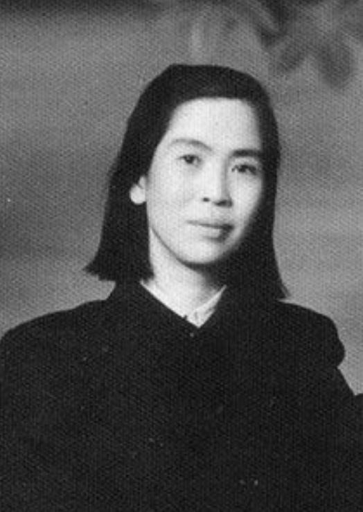 李敏图片,光影交织下的魅力瞬间