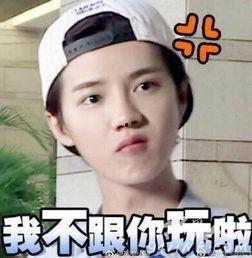 鹿晗表情包贴吧