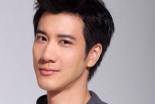 王力宏个人资料及图片