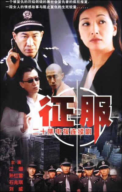 征服电视剧图片
